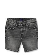 Kobedge Shorts M.grey 7675 Dnm Kids Only Black