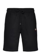 Mapleton Short Dickies Black