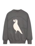 Pigeons Sp Sweatshirt Mini Rodini Grey