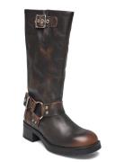 Beau Boot Steve Madden Brown