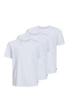 Jjeorganic Basictee Ss 3Pk Mp Jnr Noos Jack & J S White