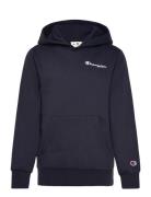 Hooded Sweatshirt Champion Navy