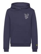 3D Eagle Graphic Hoodie Lyle & Scott Navy