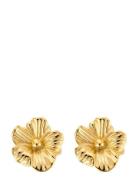 Daisy Earring By Jolima Gold