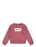 Levi's® Batwing French Terry Pullover Levi's Red