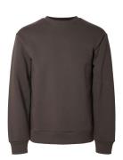 Slhreg-Dan Sweat Crew Neck Selected Homme Grey