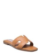 Heist Sandal Steve Madden Brown