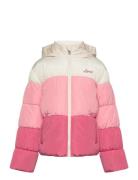 Color Block Puffer / Lvg Color Block Puffer Levi's Pink