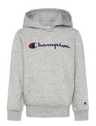 Hooded Sweatshirt Champion Grey