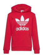 Trefoil Hoodie Adidas Originals Red