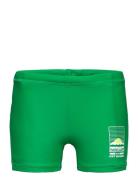 Norton Solid Molo Green