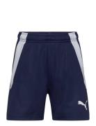 Teamliga Training Shorts 2 Jr PUMA Navy