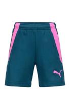 Teamliga Training Shorts 2 Jr PUMA Blue