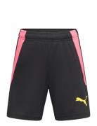 Teamliga Training Shorts 2 Jr PUMA Black