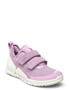 Biom K1 ECCO Pink