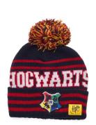 Bonnet/Peruvien/Cagoule Harry Potter Black