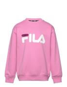 Babina Greda Classic Logo Crew Sweat FILA Pink