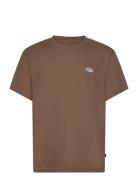 Summerdale Ss Tee Dickies Brown