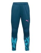 Individualfinal Training Pants Jr PUMA Blue