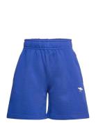 Adian Molo Blue