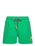 Niko Solid Molo Green