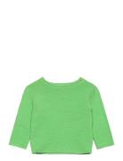 Taron B MarMar Copenhagen Green