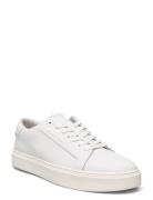 Low Top Lace Up Lth Calvin Klein White