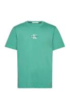 Monologo Tee Calvin Klein Jeans Green