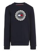 Stamp Embroidery Reg Sweatshirt Tommy Hilfiger Navy