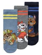 Nmmjax Pawpatrol 3P Sock Cplg Name It Navy