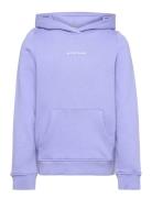 Logo Hoodie Tom Tailor Purple