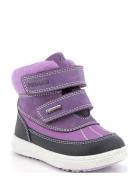 Pbzgt 68524 Primigi Purple