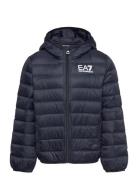 Down Jacket EA7 Navy