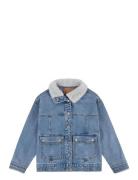 Levi's® Sherpa Collar Over D Trucker Jacket Levi's Blue