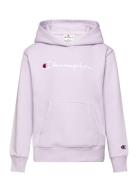 Hooded Sweatshirt Champion Pink