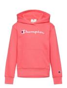 Hooded Sweatshirt Champion 