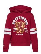 Sweats Harry Potter Red