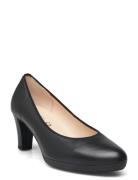 Pumps Gabor Black