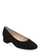 Pumps Gabor Black