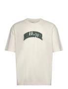 Hco. Guys Graphics Hollister Cream