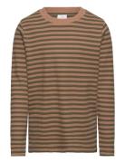 Tnlane L_S Rib Tee The New Brown