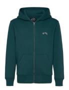 Arch Zh Billabong Green