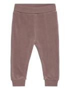 Pants Velour Fixoni Brown