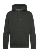 Essential Logo Hoodie Superdry Green