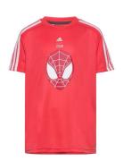 Lb Dy Sm T Adidas Sportswear 