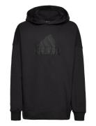 U Fi Logo Hd Adidas Sportswear Black