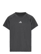 Jg Tee Lux Adidas Sportswear Grey