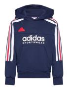 J Np Hoodie Adidas Sportswear Navy