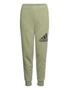 U Bl Pant Adidas Sportswear Khaki