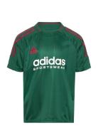 J Np Tee Adidas Sportswear Green